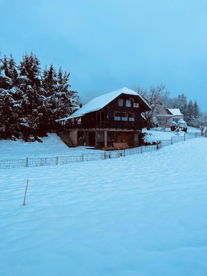 Chalet Pjagodic Церклье-на-Гореньскем Экстерьер фото